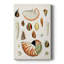 Impression sur toile tendue, collection Antique Shell I-677161761