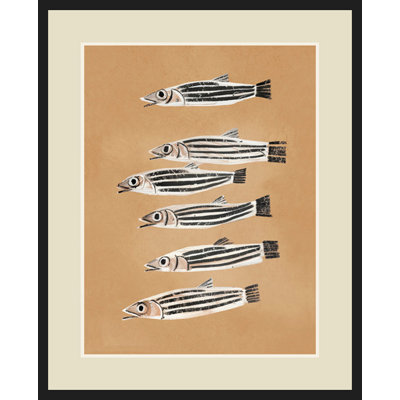 Minimal Fish Study
