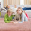 Gaulke Machine Braided Area Rug-540226506