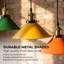 Wheeler 8 - Light Cluster Pendant-432692388