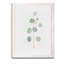 Doux eucalyptus II - Reproduction d'art sur toile encadrée-1501827236-1501827238