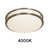 Arjit Acrylic LED Flush Mount-223846990-223846989