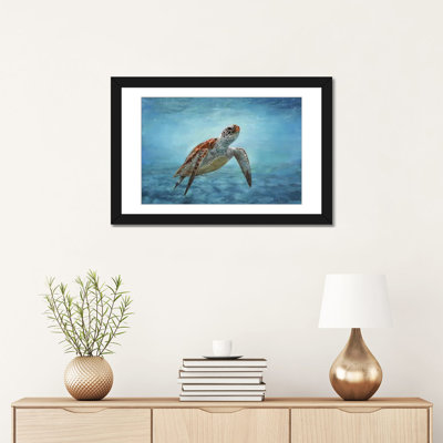 Sea Turtle - Print on Canvas
