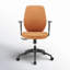 Luccia Office Chair-110126924
