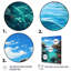 Australia Great Barrier Reef I " Australia Great Barrier Reef I "-929381625-929381631