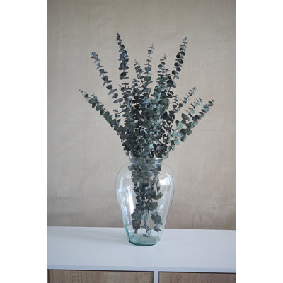 Preserved Green Eucalyptus