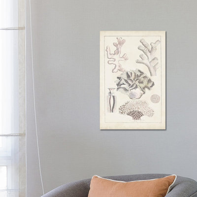 Antique White Coral IV by Vision Studio - Wrapped Canvas Print