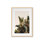Equaltorial Print by Bock, Alicia