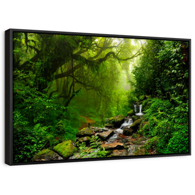 Forest Stream Canvas Print