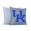 Fauteuil suspendu hamac avec logo Kentucky Wildcats Royaume-Uni, bleu et blanc