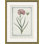 Hortus Romanus 1772-1793 " Hortus Romanus 1772-1793 23 " by Soicher Marin Archives
