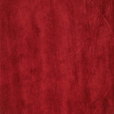 Indoor Rug