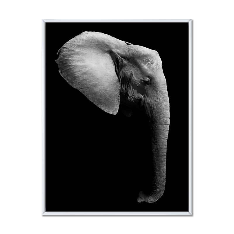 Éléphant d'Afrique en noir et blanc - Impression sur toile, H 20 po x l 12 po, Cadre flottant blanc