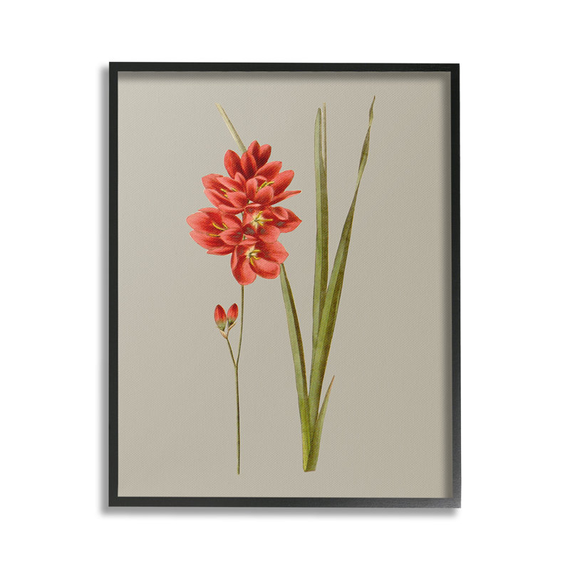 RedTraditionalBotanicalGicleeArtbyVisionStudio, Coastal White Framed Giclee, 30" H x 24" W