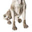 Animals Ceramic / Porcelain Garden Statue