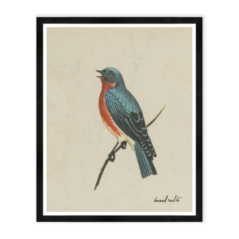 Swallow Print