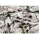 Vera Modern Cloud Nine Area Rug
