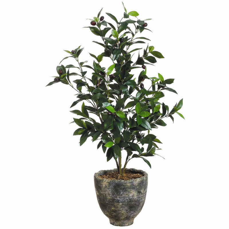 Faux Olive Tree Tree