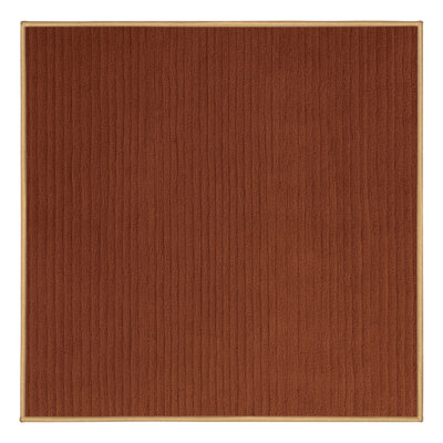Machine Washable Solid Brown Area Rug