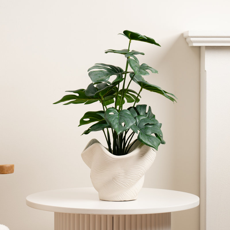 45cm Faux Variegated Monstera in Cement Shell Pot