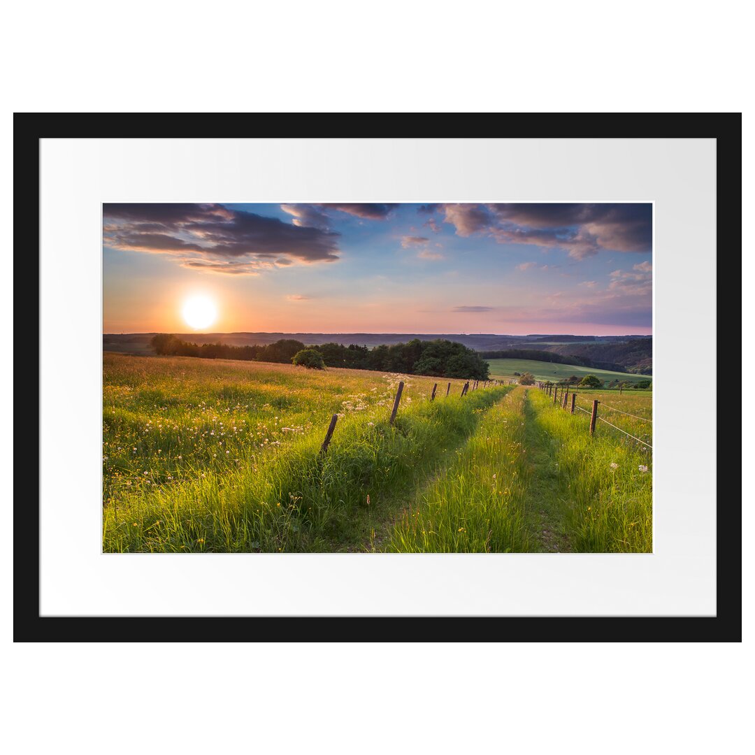 Gerahmtes Poster Bergwiese im Sonnenaufgang