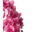 65cm Faux Orchid Plant in Pot