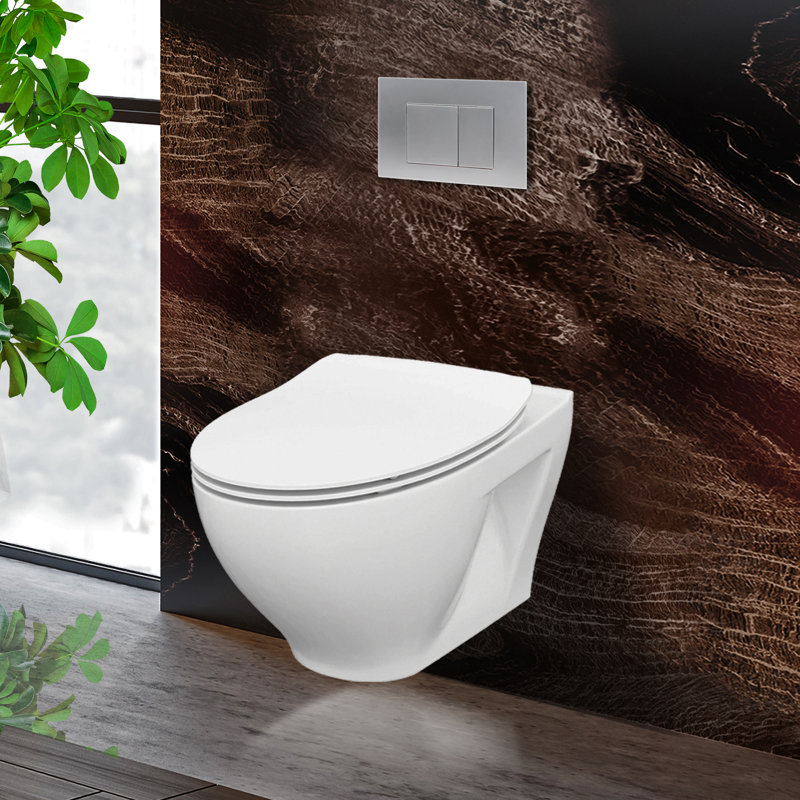 Stormon Dual-Flush Elongated Wall-Mount Toilet (Seat Included), Chrome, 6"