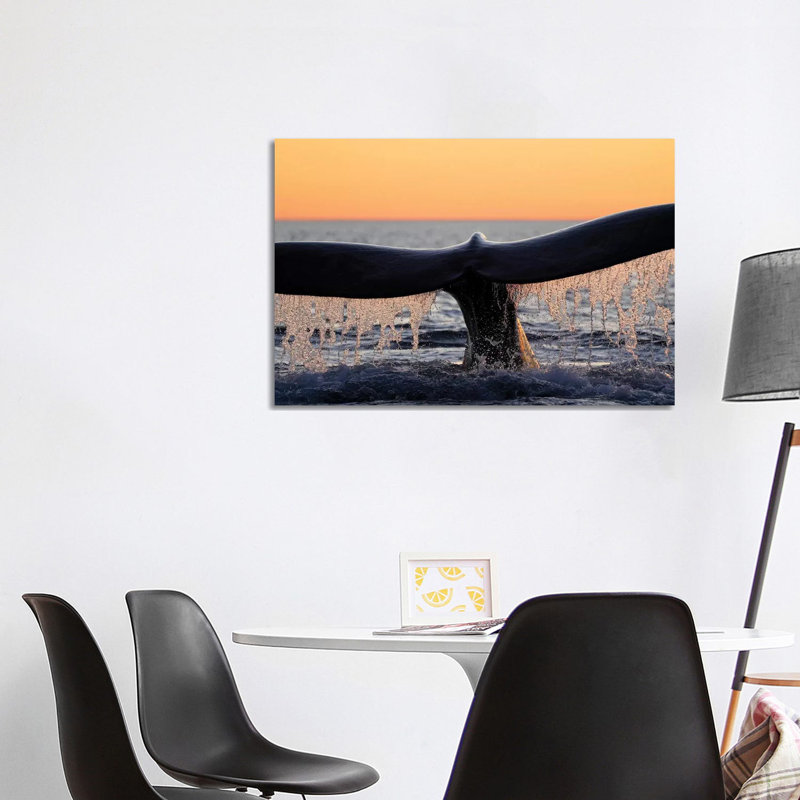 Southern Right Whale Diving, Peninsula Valdez, Argentina by Hiroya Minakuchi - Wrapped Canvas Print