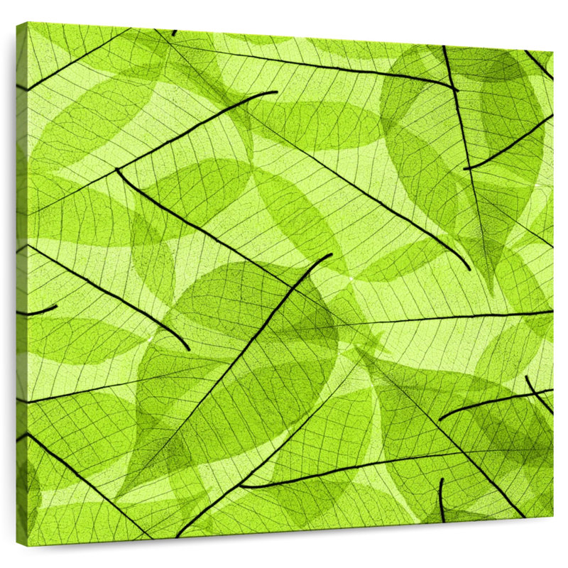 Kerner Skeleton Green Leaves