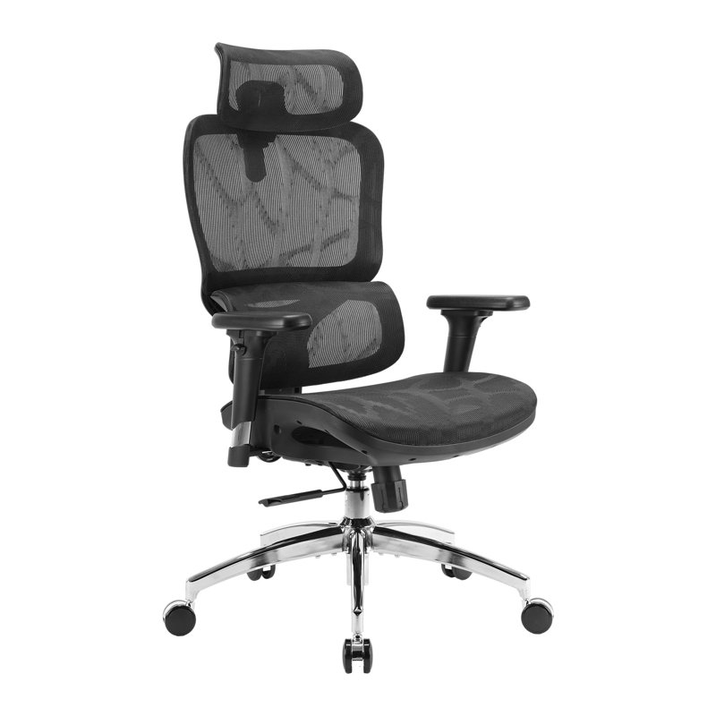 Chaise de bureau ergonomique avec appui-tête réglable 3D, soutien lombaire, dossier ultra-large à deux sections, accoudoirs 3D, fonction d'inclinaison pivotante, chaise de bureau à haut dossier - 7BD293DE3ECE49A7919537B0608D73B8 (noir)