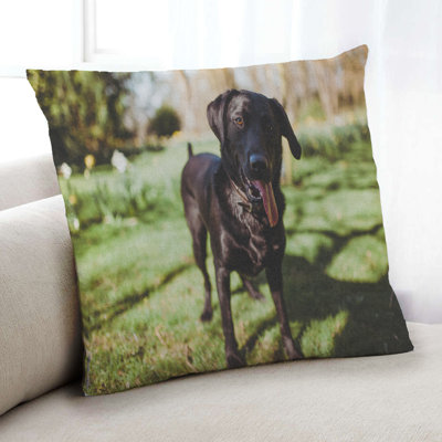 Throw Pillow