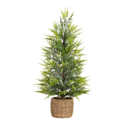 White 2.7' Pre-Lit Cypress Christmas Tree