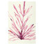 Plants II Print by Hable Construction