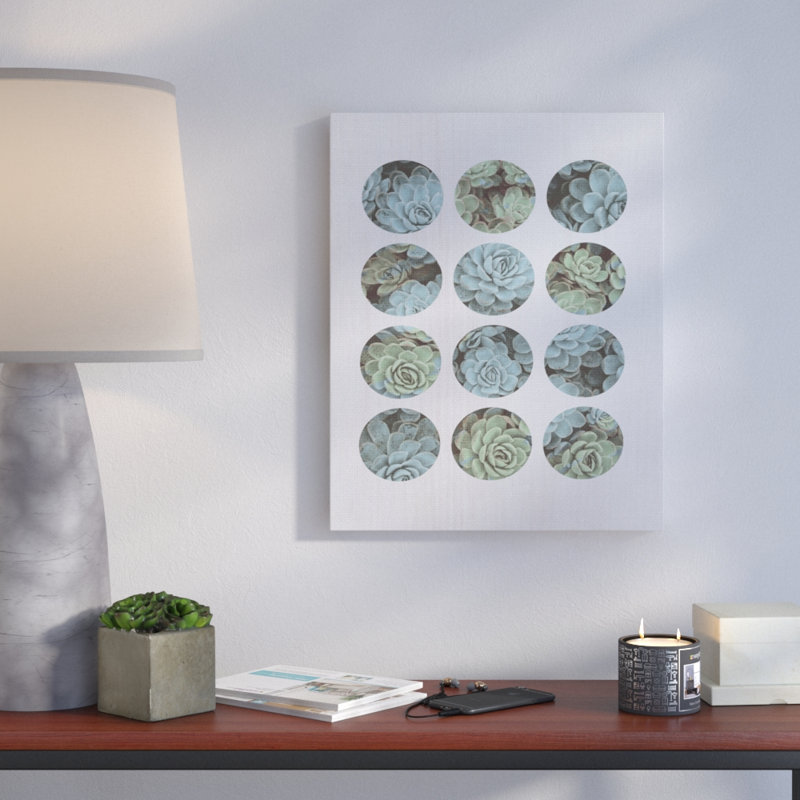 « succulent cercles », impression, H 20 po x l 16 po x P 1,5 po, Toile tendue
