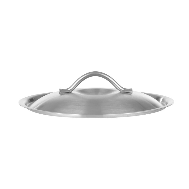 Belfry Kitchen Sheron Stainless Steel (18/10) Lid, 53 cm