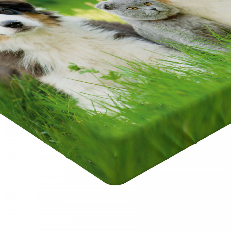 Microfiber Fitted Sheet, Full Fitted Sheet