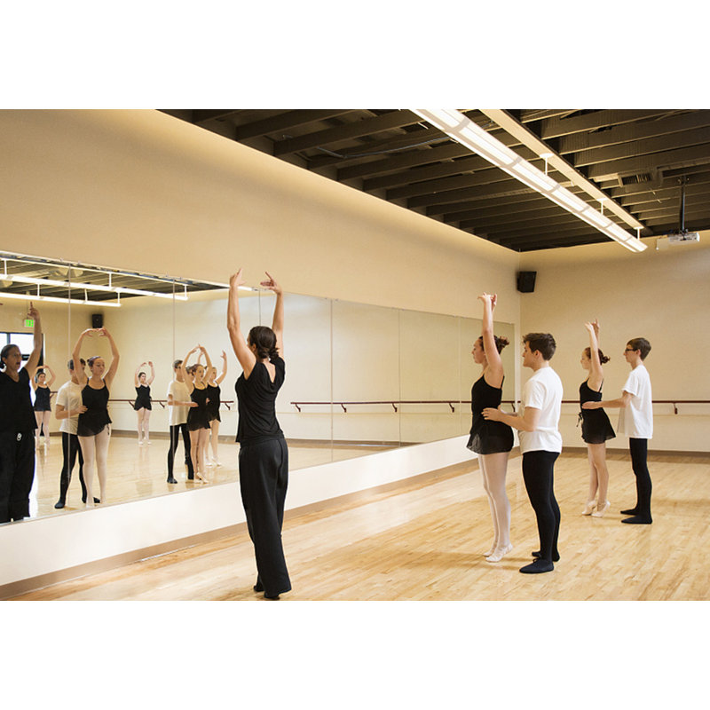 Home Gym Mirror Large Workout Mirror Full Length Activity Mirror for Fitness, Exercise, Dance