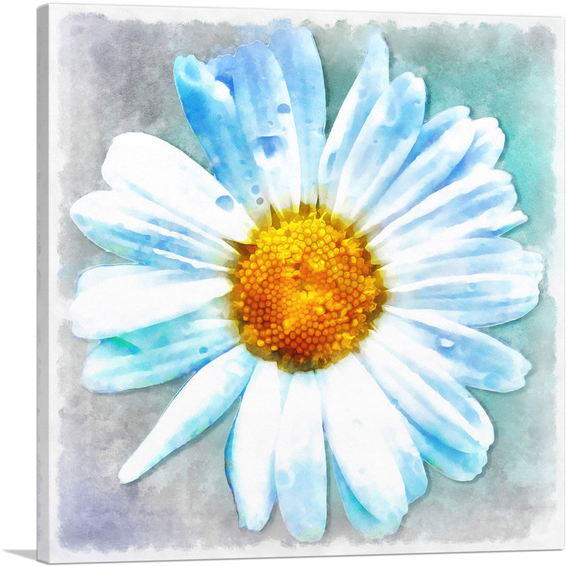 «Daisy», reproduction d'art sur toile tendue, H 36 po x l 36 po x P 0,75 po