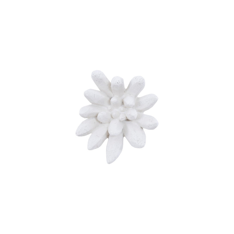 Compactum Succulent Wall Art, White