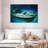 Senne Kittiwake Shipwreck-108694640