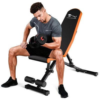Banc de musculation robuste et réglable, capacité de 800 lb - Banc pliable / plat / inclinable pour l'entraînement en force à domicile