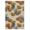 Floral Area Rug in Beige/Yellow/Gray