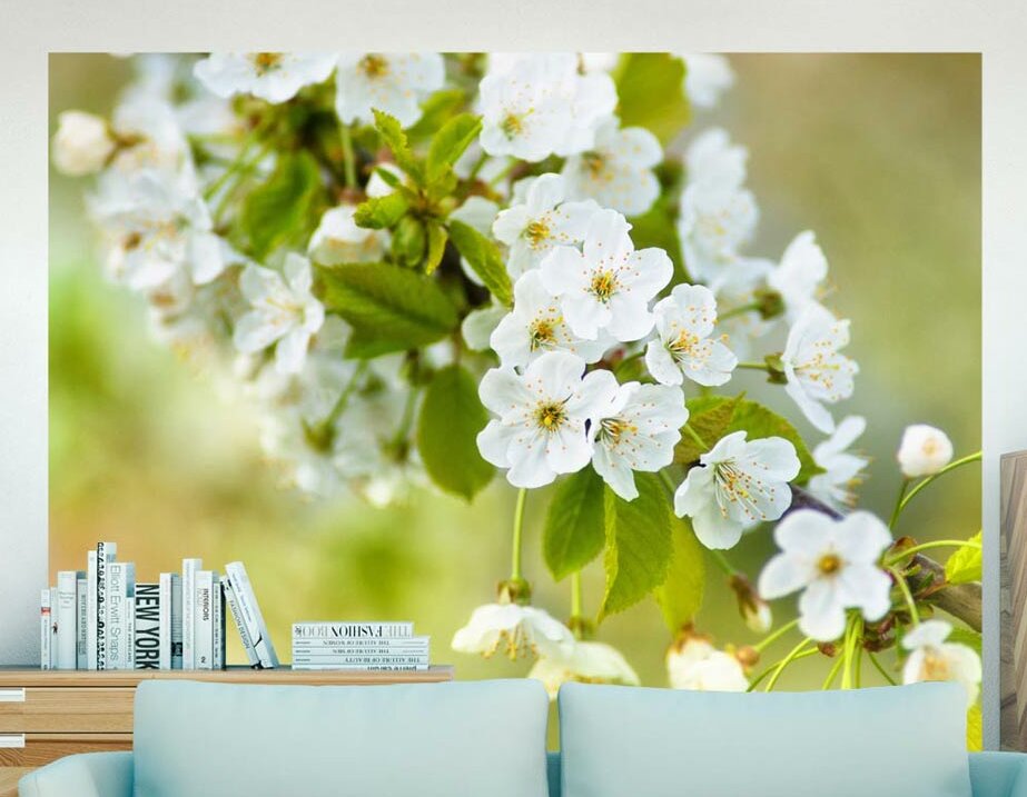 Fototapete Zweig mit weißen Kirschblüten