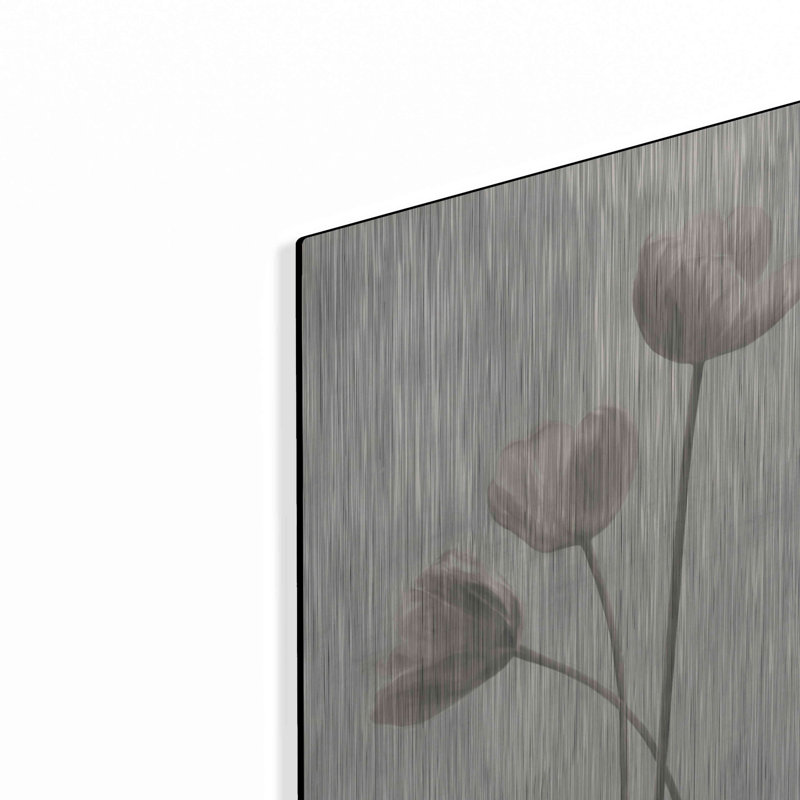 Tulipes blanchies I par Lori Deiter, H 16 po x l 12 po