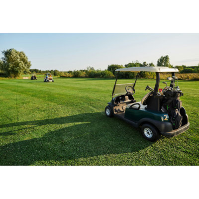 Voiture de golf avec massues