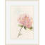 Hydrangeas 1 Print by Claudia Lowry-1166739078