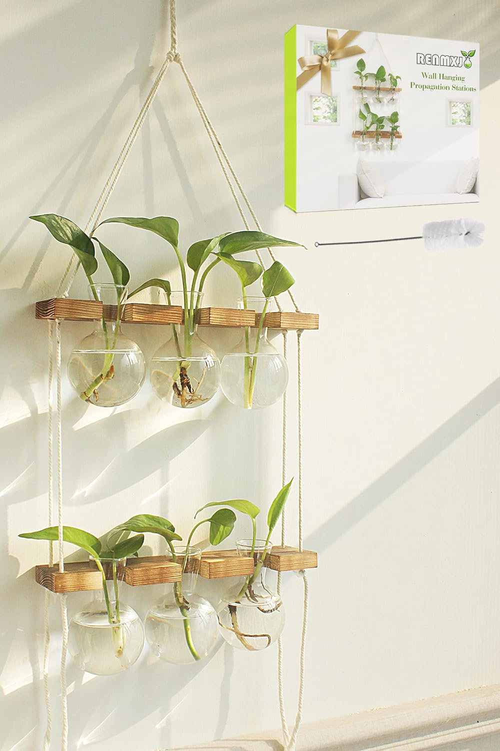 Hanging Planter