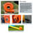 Inflatable 8' x 9' Bounce House Slide