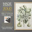 Reproduction encadrée de qualité supérieure Buchoz Tropicals IX - prête à être accrochée-1819990528-1819990534