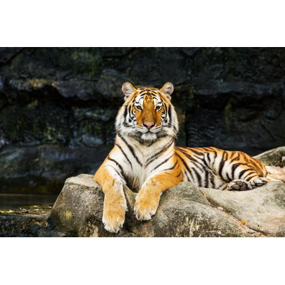 Tiger by Subinpumsom - Wrapped Canvas Print